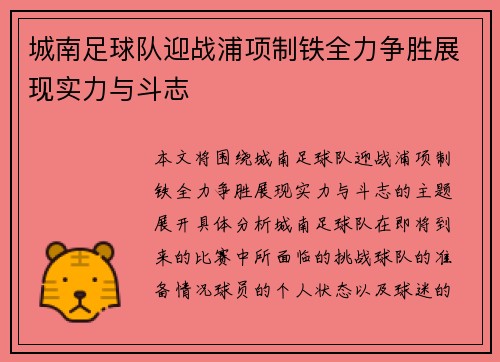 城南足球队迎战浦项制铁全力争胜展现实力与斗志